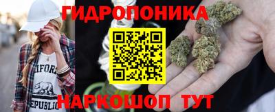 шишки Малоярославец