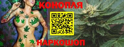 шишки Малоярославец