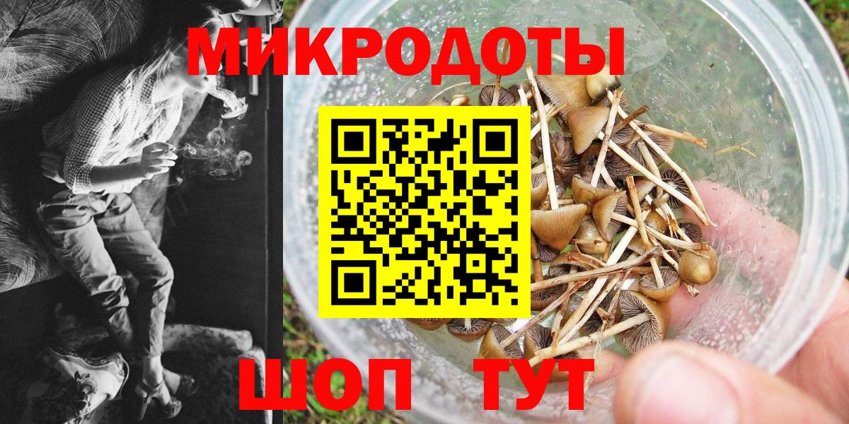 Псилоцибиновые грибы GOLDEN TEACHER Петрозаводск
