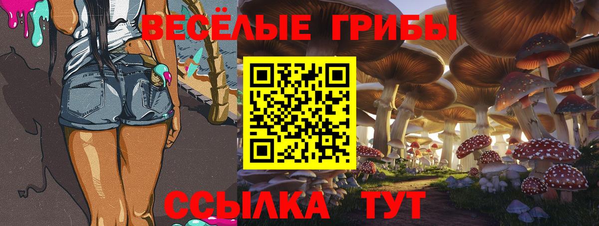 Псилоцибиновые грибы мицелий  Псилоцибиновые грибы Psilocybine cubensis  Петрозаводск  Вход с VPN 