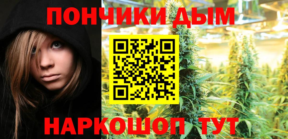 Меф Петрозаводск
